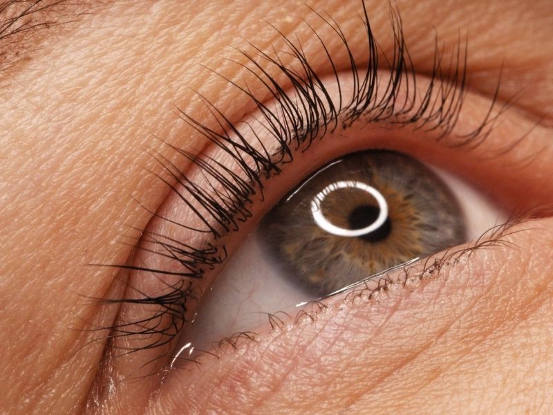 Lashlift Ergebnis volle und geschwungene Wimpern BrowDesign Saal an der Saale